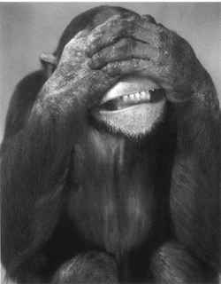 nuevo 06.jpg (6573 bytes)